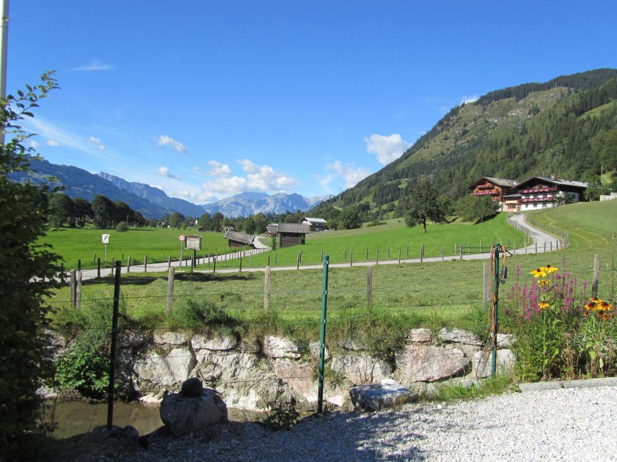 Gartenwohnung Robinigg Maishofen Kültér fotó